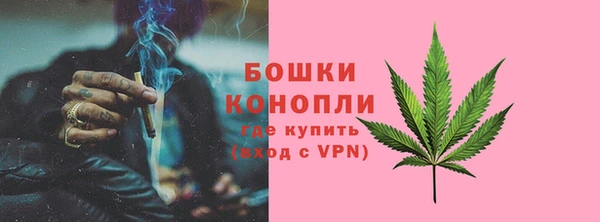 ECSTASY Богородск