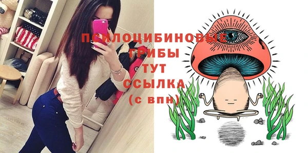 ECSTASY Богородск
