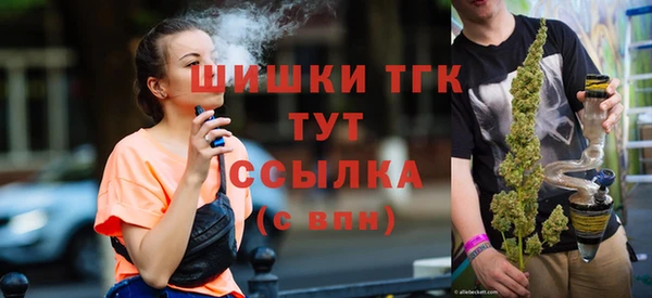 ECSTASY Богородск