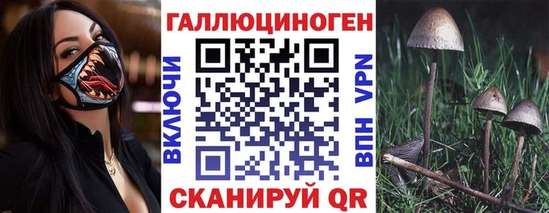 Галлюциногенные грибы Cubensis  Кола 